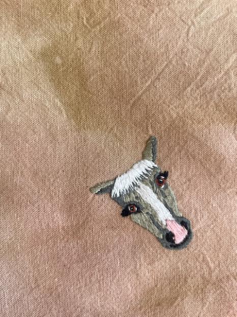 Bandana Vaquera Desierto