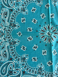 Bandana Vaquera Lagoon