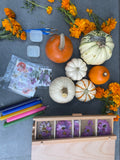 KIT DIY CALABAZA DECORADA CON FLORES PRENSADAS 🎃