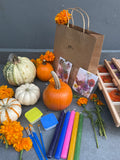 KIT DIY CALABAZA DECORADA CON FLORES PRENSADAS 🎃